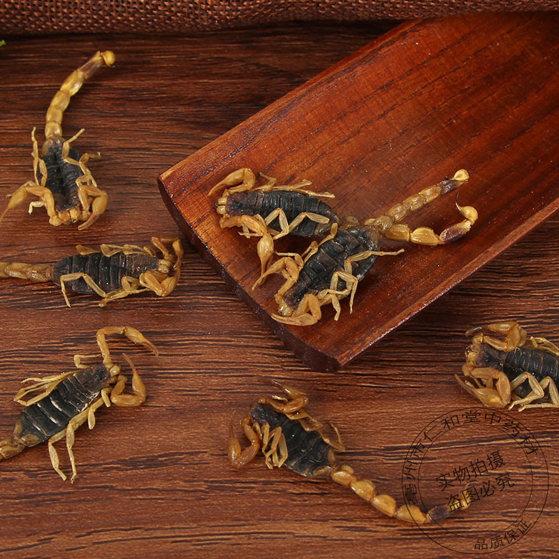 Dried Whole Scorpion Quan Xie 全蝎 500g Culinary Chinese Herbal Ingredient - Image 5