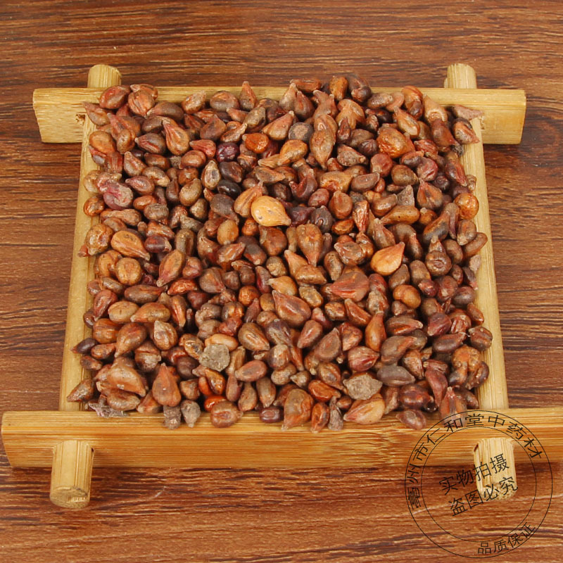 Grape Seed Whole Dried Seeds Pu Tao Zi Clean Sifted Bulk 500g for Herbal Tea and Decoction - Image 3