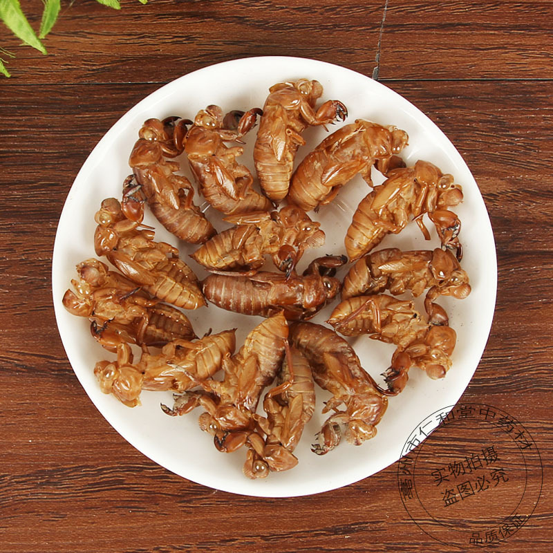 Cicada Slough Chan Tui 蝉蜕 Dried Whole Insect Molt Traditional Chinese Herb for Decoction 500g - Image 2