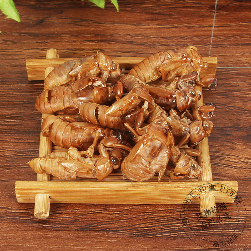 Cicada Slough Chan Tui 蝉蜕 Dried Whole Insect Molt Traditional Chinese Herb for Decoction 500g - Image 3