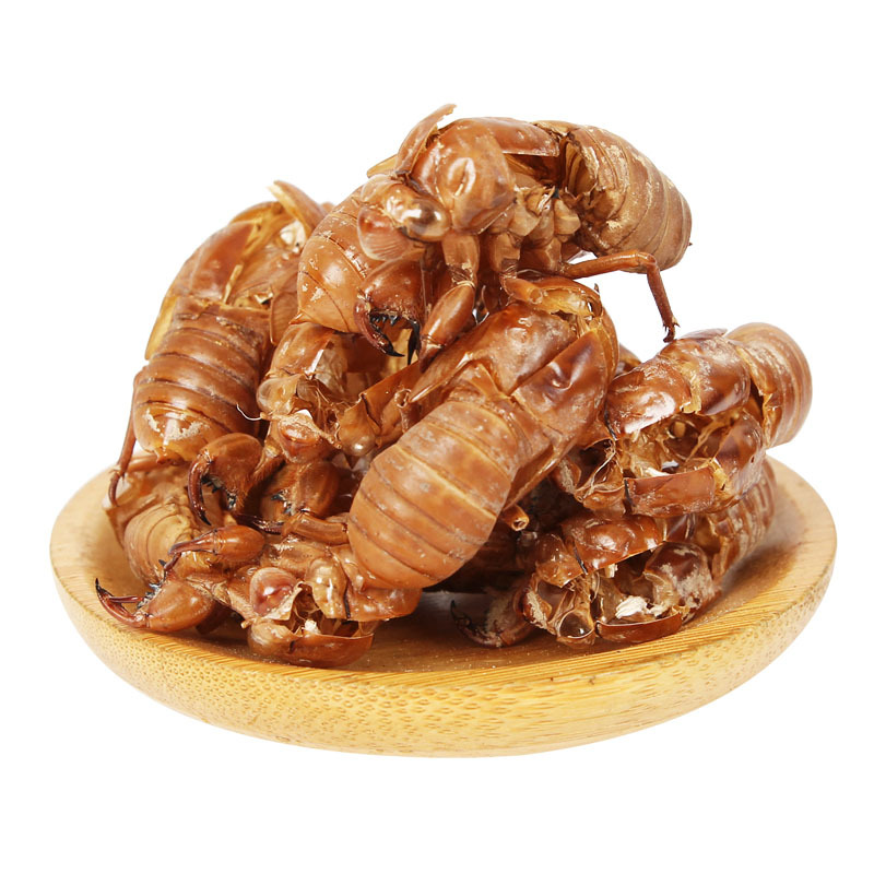 Cicada Slough Chan Tui 蝉蜕 Dried Whole Insect Molt Traditional Chinese Herb for Decoction 500g - Image 5