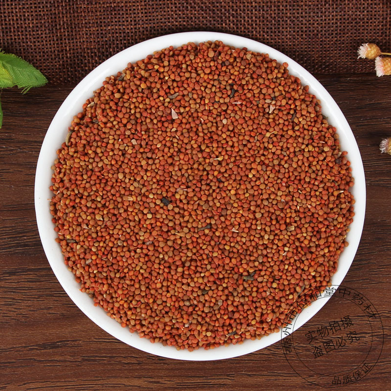 Chu Shi Zi Dried Broussonetia Fruit 500g Traditional Chinese Herb for Culinary and Decoction Use - Image 4