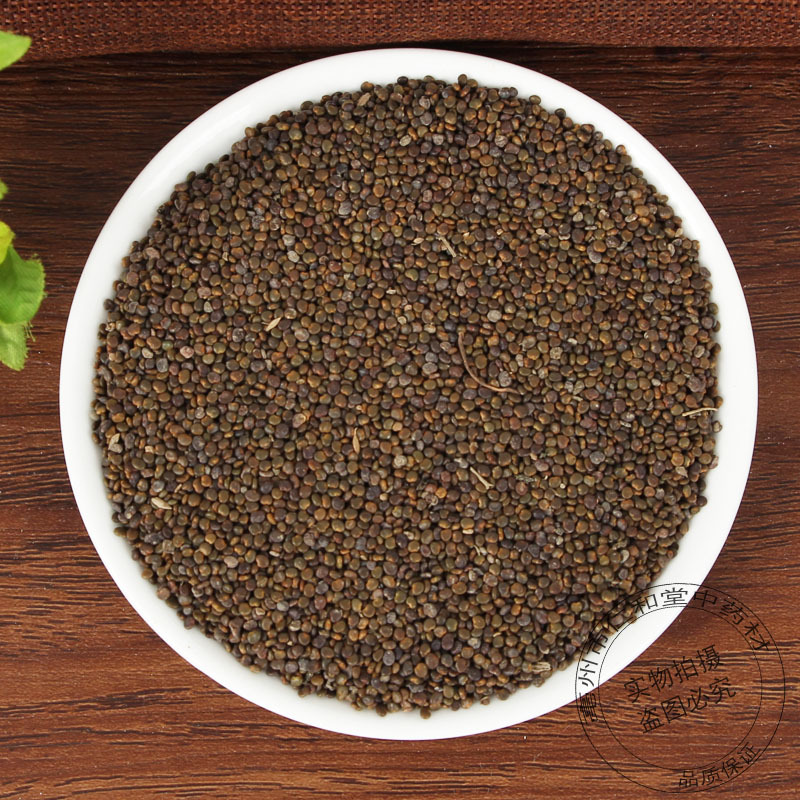 Sha Yuan Zi Astragalus Seeds 500g Dried Flatstem Milkvetch Seed Traditional TCM Herb for Decoction and Culinary Use - Image 4