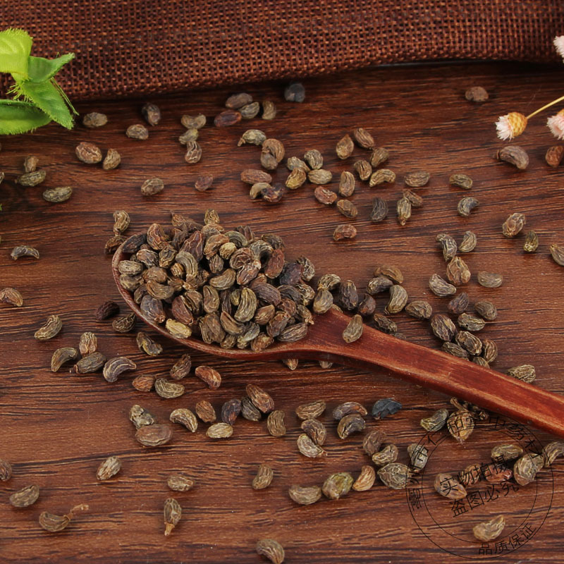 Nǚ Zhēn Zǐ (Ligustrum lucidum) Dried Fruit 500g — Traditional Yin-Nourishing Herb, Pairs with Han Lian Cao & Tu Si Zi - Image 2