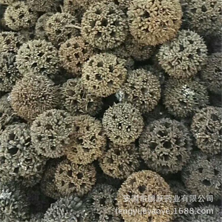 Lulu Tong Dried Sweetgum Fruit Whole Form Traditional Chinese Herb for Decoction and Herbal Use - Image 2