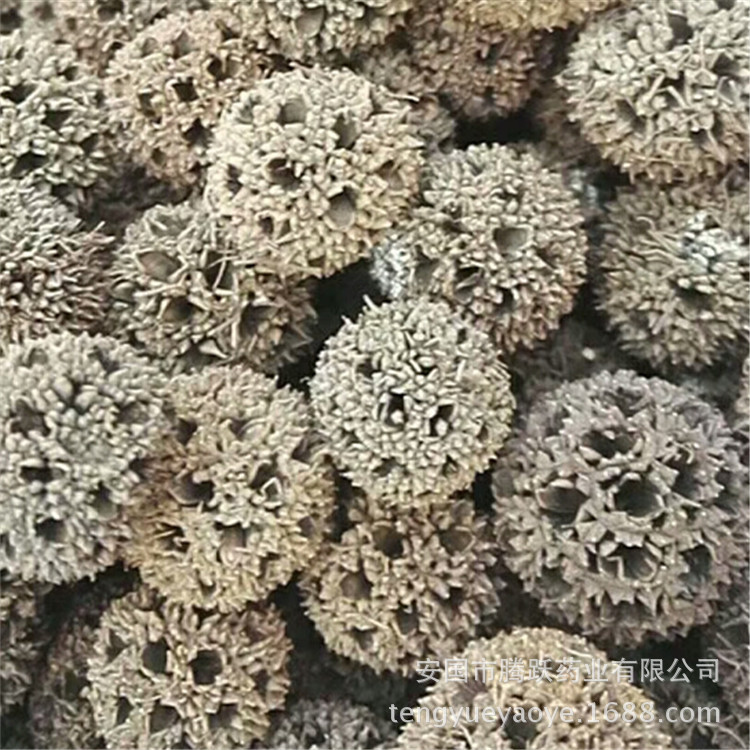 Lulu Tong Dried Sweetgum Fruit Whole Form Traditional Chinese Herb for Decoction and Herbal Use - Image 5