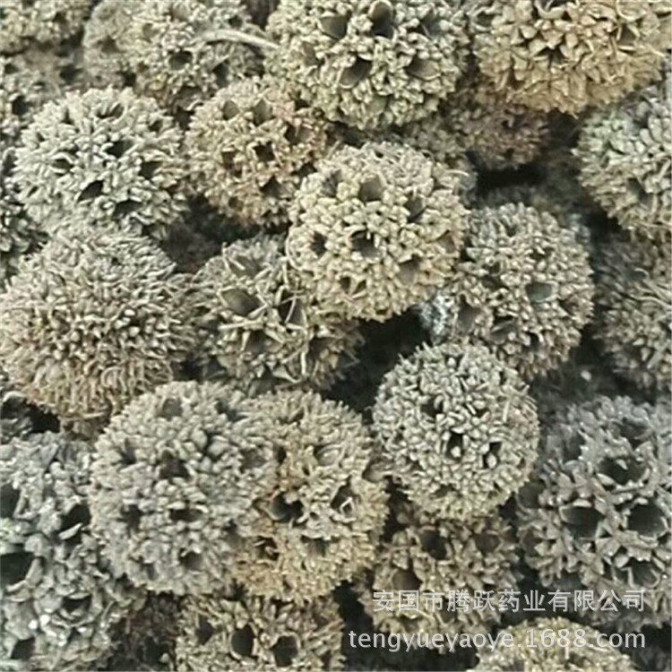 Lulu Tong Dried Sweetgum Fruit Whole Form Traditional Chinese Herb for Decoction and Herbal Use - Image 4