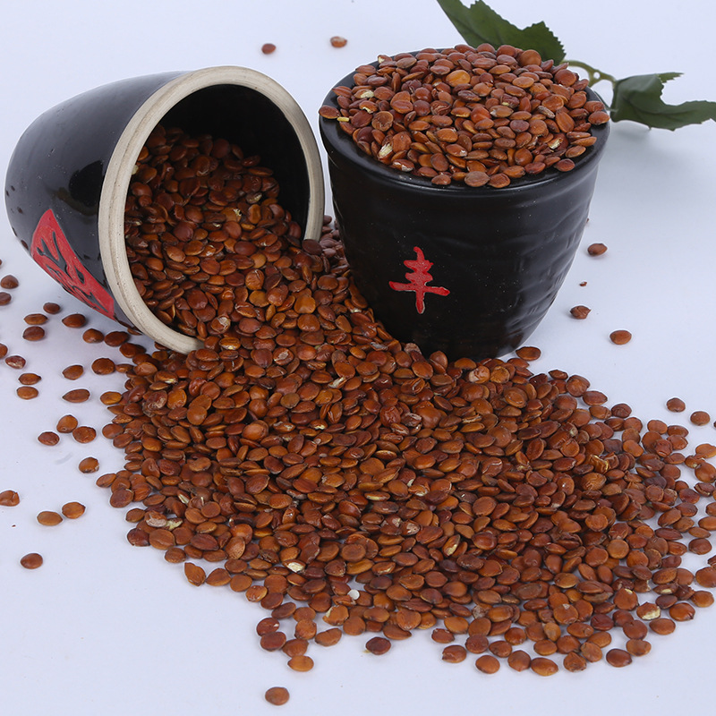 Zao Ren Li Zao Ren Roasted Sour Jujube Seed Bulk 500g Herbal Tea Ingredient Low Temperature Baked - Image 2