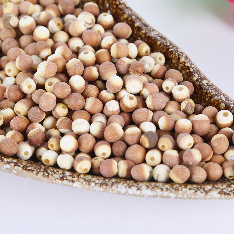 Dried Euryale Seed Qian Shi Whole Gorgon Fruit 500g Low Temperature Roasted for Grinding - Image 2
