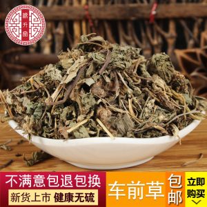 Che Qian Cao (Plantago asiatica) — Dried Food-Herb Plantain for Herbal Tea & Soup