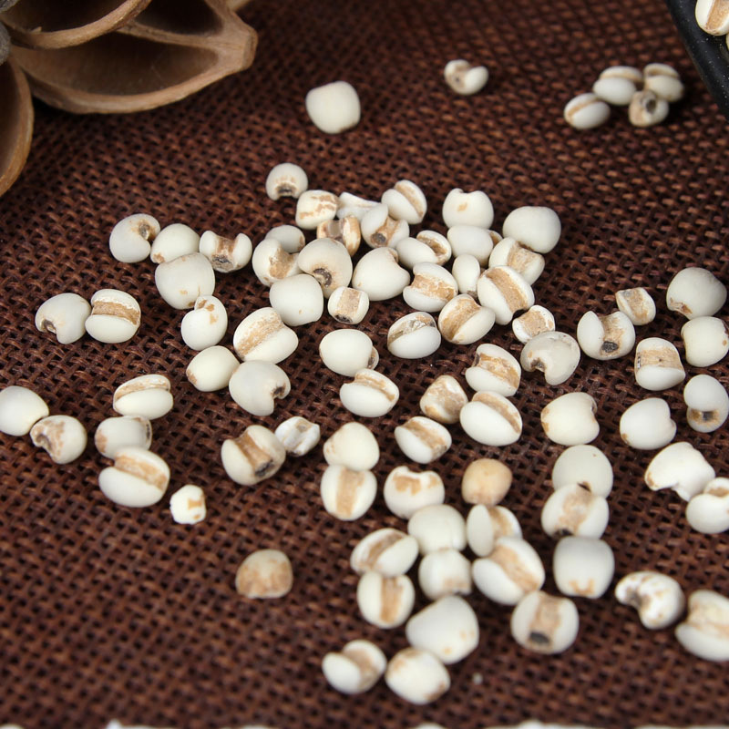 Yi Yi Ren (Coix Seed / Job's Tears) — Dried Food-Herb Grain for Tea, Soup & Congee - Image 2