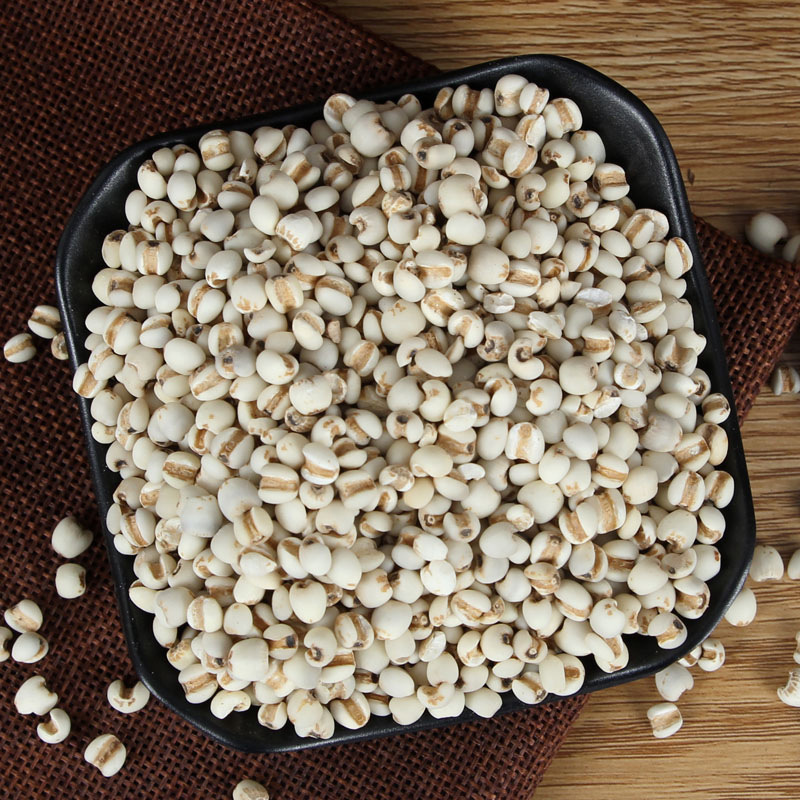 Yi Yi Ren (Coix Seed / Job's Tears) — Dried Food-Herb Grain for Tea, Soup & Congee - Image 3