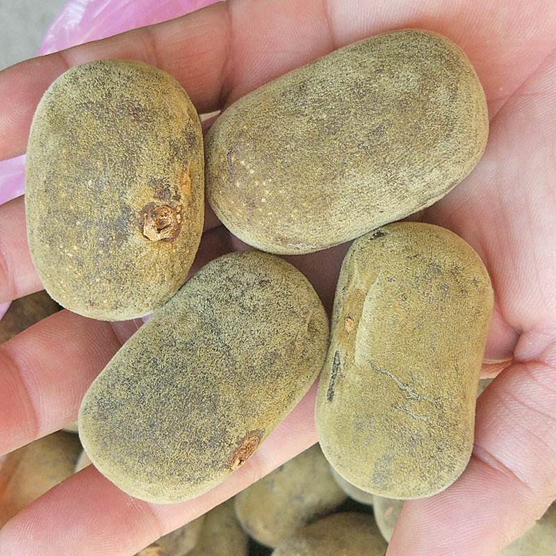 Aged Huazhou Tangerine Peel Slices Chen Pi Hua Zhou Ju Hong Citrus Grandis Traditional Herbal Tea 40g - Image 2