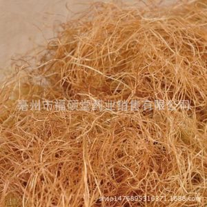 Corn Silk Tea (Zea mays) — Dried Hand-Selected Corn Stigma, 500g Loose Herbal Tea