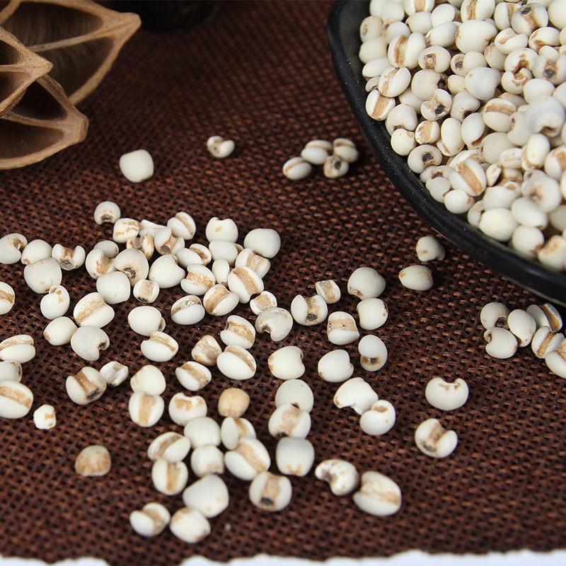 Yi Yi Ren (Coix Seed / Job's Tears) — Dried Food-Herb Grain for Tea, Soup & Congee - Image 4