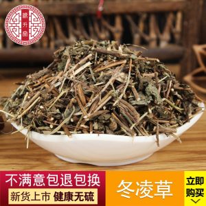 Dong Ling Cao (Rabdosia rubescens) — Dried Chinese Herbal Material, Ice Ling Grass 500g
