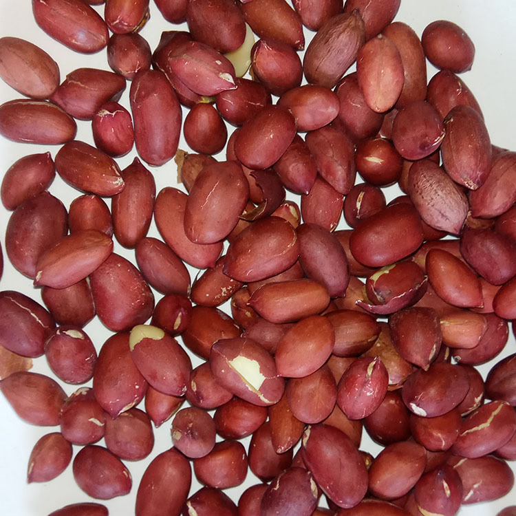 Low Temperature Roasted Peanuts Whole Grain Soy Milk Ingredient Northeast Grown 2.5kg Bulk - Image 4