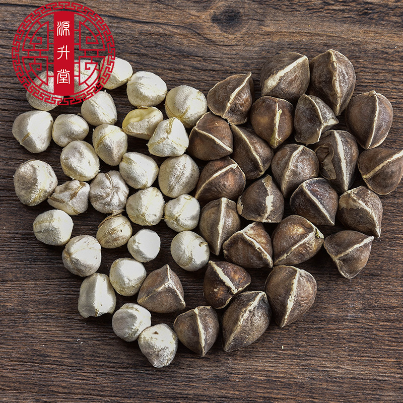 Moringa Seeds (Moringa oleifera) — Dried La Mu Zi Food Herb, Bulk 500g - Image 4
