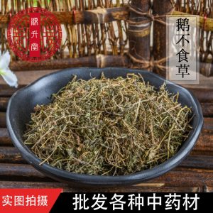 E Bu Shi Cao (Centipeda minima) — Dried Food Herb for Tea & Soup