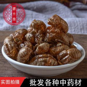 Chan Tui (Cryptotympana pustulata) — Sulfur-Free Washed Cicada Slough, Dried Herb