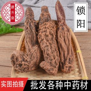Suo Yang Slices (Cynomorium songaricum) — Xinjiang Dried Food Herb for Wine & Soup