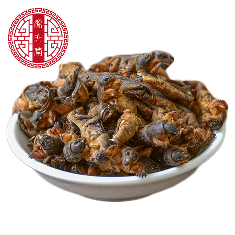 Lou Gu Dried (Gryllotalpa orientalis) — Whole Clean Oriental Mole Cricket Herb - Image 5