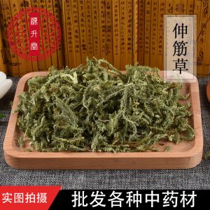 Shen Jin Cao (Lycopodium clavatum) — Dried Food Herb for Tendon-Soothing Soups & Teas
