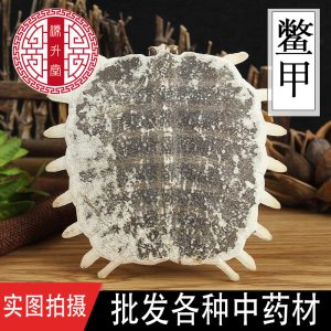 Bie Jia (Trionyx sinensis Carapace) — Dried Soft-Shell Turtle Shell for Herbal Decoction