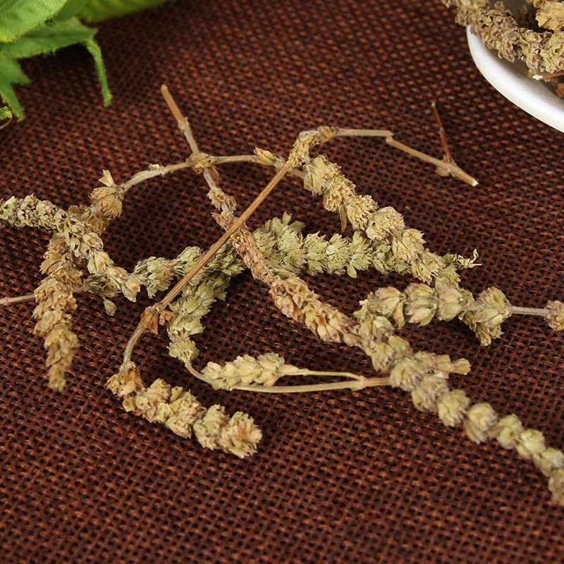 Jing Jie Sui (Schizonepeta tenuifolia) — Dried Schizonepeta Spike Herb, 500g - Image 4