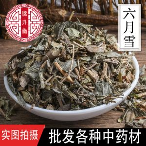 Liu Yue Xue Herb (Serissa japonica) — Dried Snow-in-Summer for Herbal Tea & Decoction