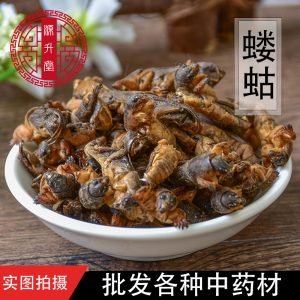 Lou Gu Dried (Gryllotalpa orientalis) — Whole Clean Oriental Mole Cricket Herb