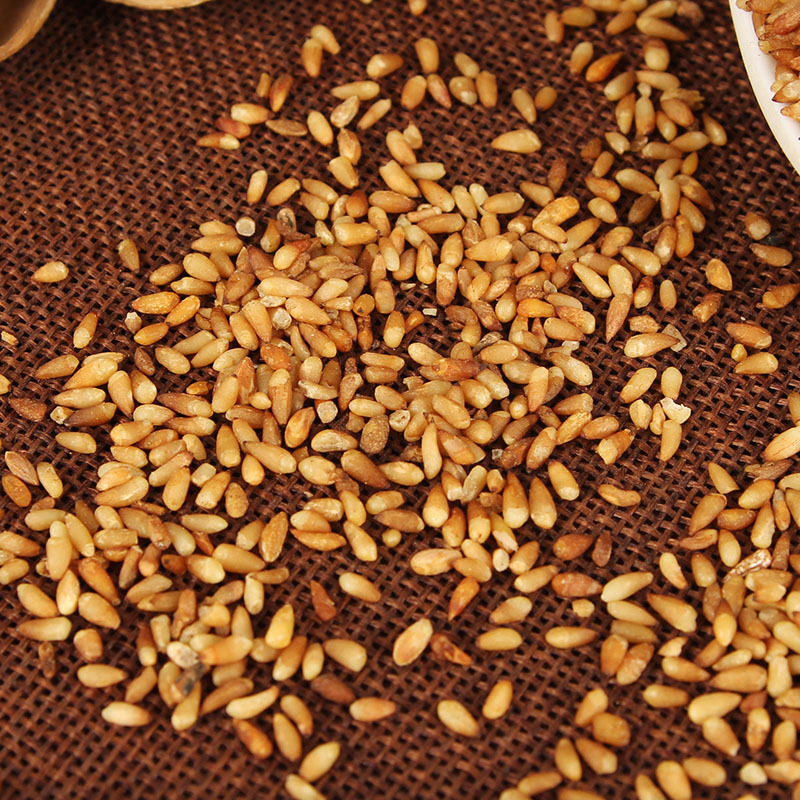 Bai Zi Ren (Platycladus orientalis) — Dried Arborvitae Seed for TCM Tea & Congee - Image 4