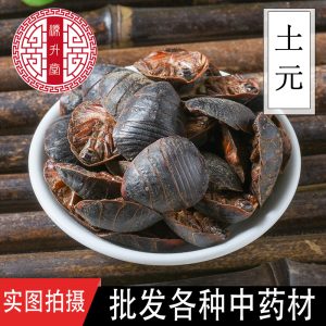 Tu Bie Chong (Eupolyphaga sinensis) — Dried Ground Beetle Herb, Food-Herb Decoction Material