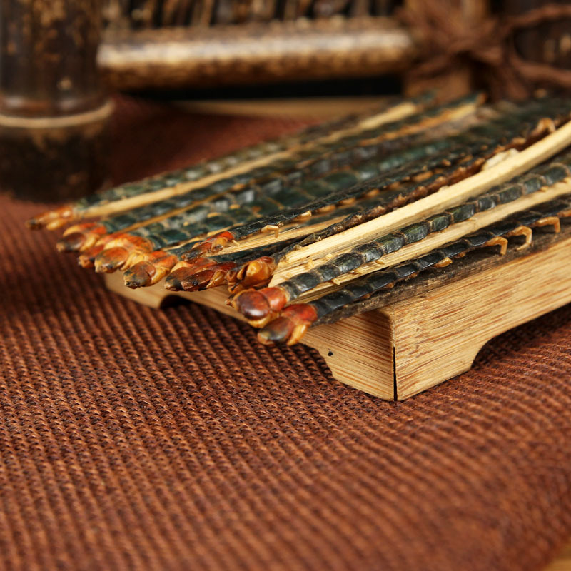 Wu Gong (Scolopendra subspinipes) — Dried Centipede with Bamboo Stick, 18 cm Grade - Image 4