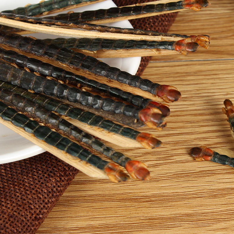 Wu Gong (Scolopendra subspinipes) — Dried Centipede with Bamboo Stick, 18 cm Grade - Image 2