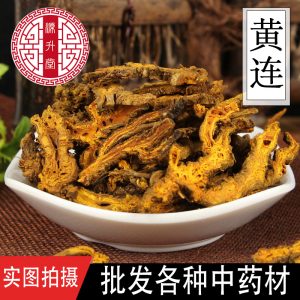 Huang Lian (Coptis chinensis) — Dried Bitter Herb Rhizome, Food-Herb Decoction Piece