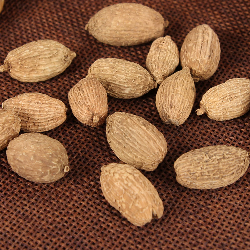 Sha Ren (Amomum villosum) — Premium Dried Food-Herb Fruit for Cooking & Tea - Image 2