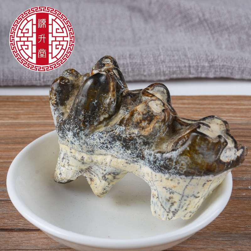 Qing Long Chi (Dragon Tooth Fossil) — Bulk 500g Mineral Herb, Daodi Quality - Image 2