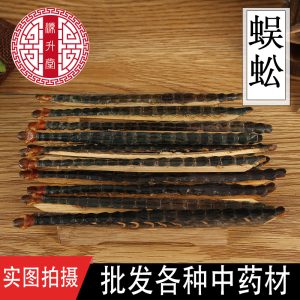 Wu Gong (Scolopendra subspinipes) — Dried Centipede with Bamboo Stick, 18 cm Grade