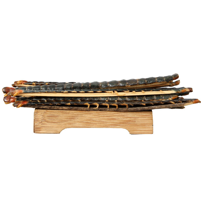 Wu Gong (Scolopendra subspinipes) — Dried Centipede with Bamboo Stick, 18 cm Grade - Image 5