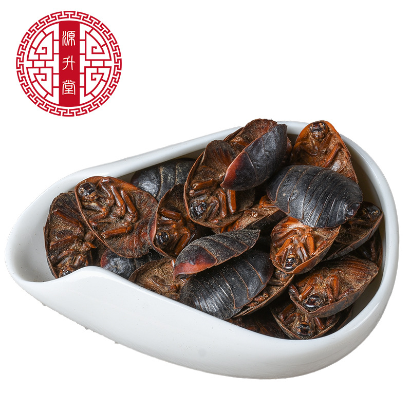 Tu Bie Chong (Eupolyphaga sinensis) — Dried Ground Beetle Herb, Food-Herb Decoction Material - Image 5