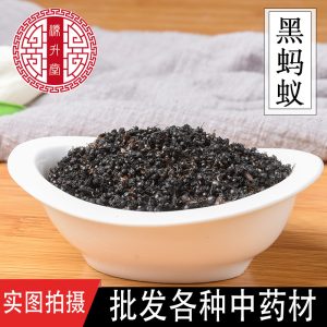 Black Ant (Polyrhachis vicina) — Dried Northeast Food-Herb for Wine Infusion & Soup