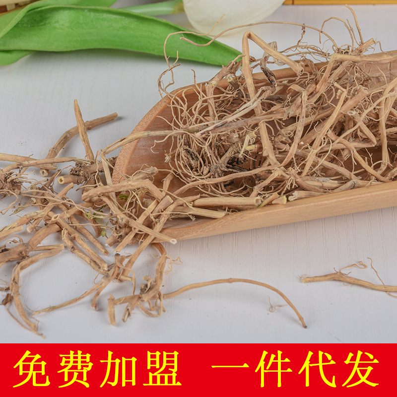 Bai Qian Root (Cynanchum stauntonii) — Dried Food-Herb Decoction Pieces, 500g - Image 2