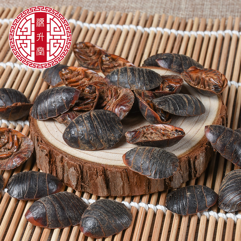 Tu Bie Chong (Eupolyphaga sinensis) — Dried Ground Beetle Herb, Food-Herb Decoction Material - Image 4