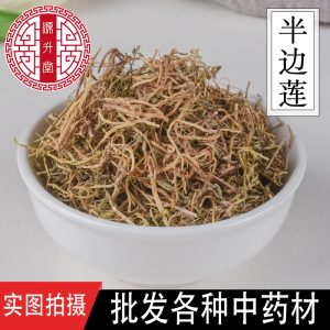 Ban Bian Lian (Lobelia chinensis) — Dried Food-Herb Whole Plant, Sulfur-Free, 500g