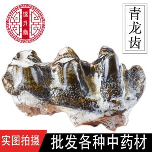 Qing Long Chi (Dragon Tooth Fossil) — Bulk 500g Mineral Herb, Daodi Quality