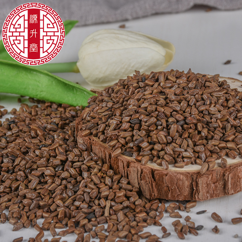 Jue Ming Zi (Cassia obtusifolia) — Dried Food-Herb Seed for Tea & Soup, 500g - Image 4