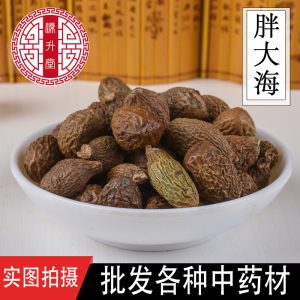 Pang Da Hai (Sterculia lychnophora) — Dried Food-Herb Seed for Herbal Tea, 500g
