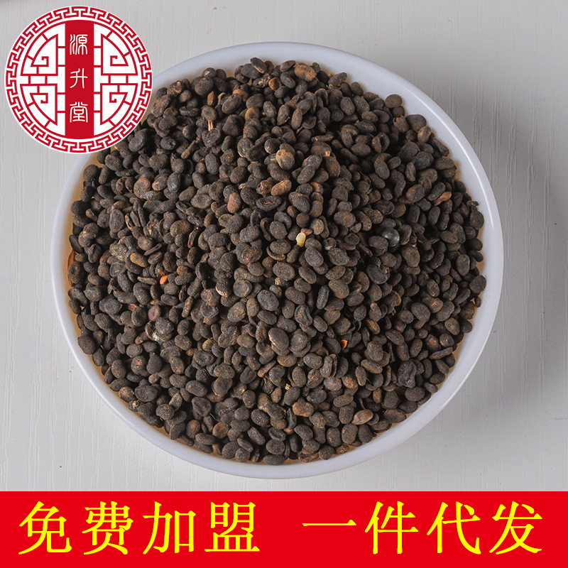 Bu Gu Zhi (Psoralea corylifolia) — Dried Food-Herb Seeds, 500g Origin Yunnan - Image 2