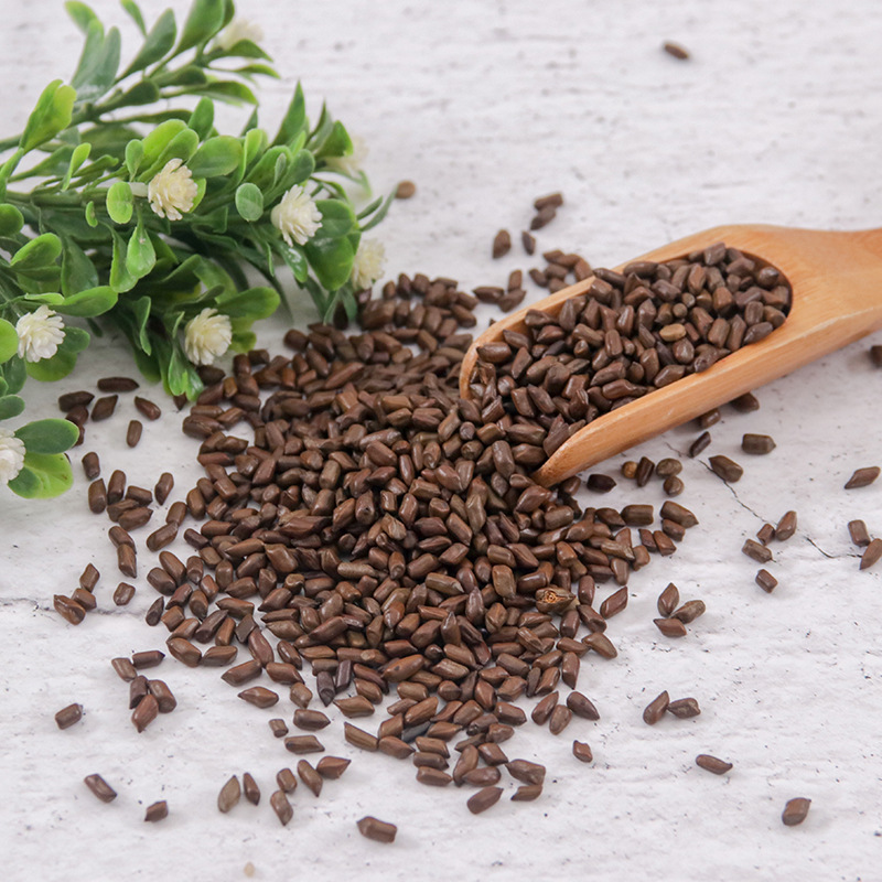 Roasted Jue Ming Zi (Cassia obtusifolia) — Dried Cassia Seed for Herbal Tea, 250g Bottle - Image 3